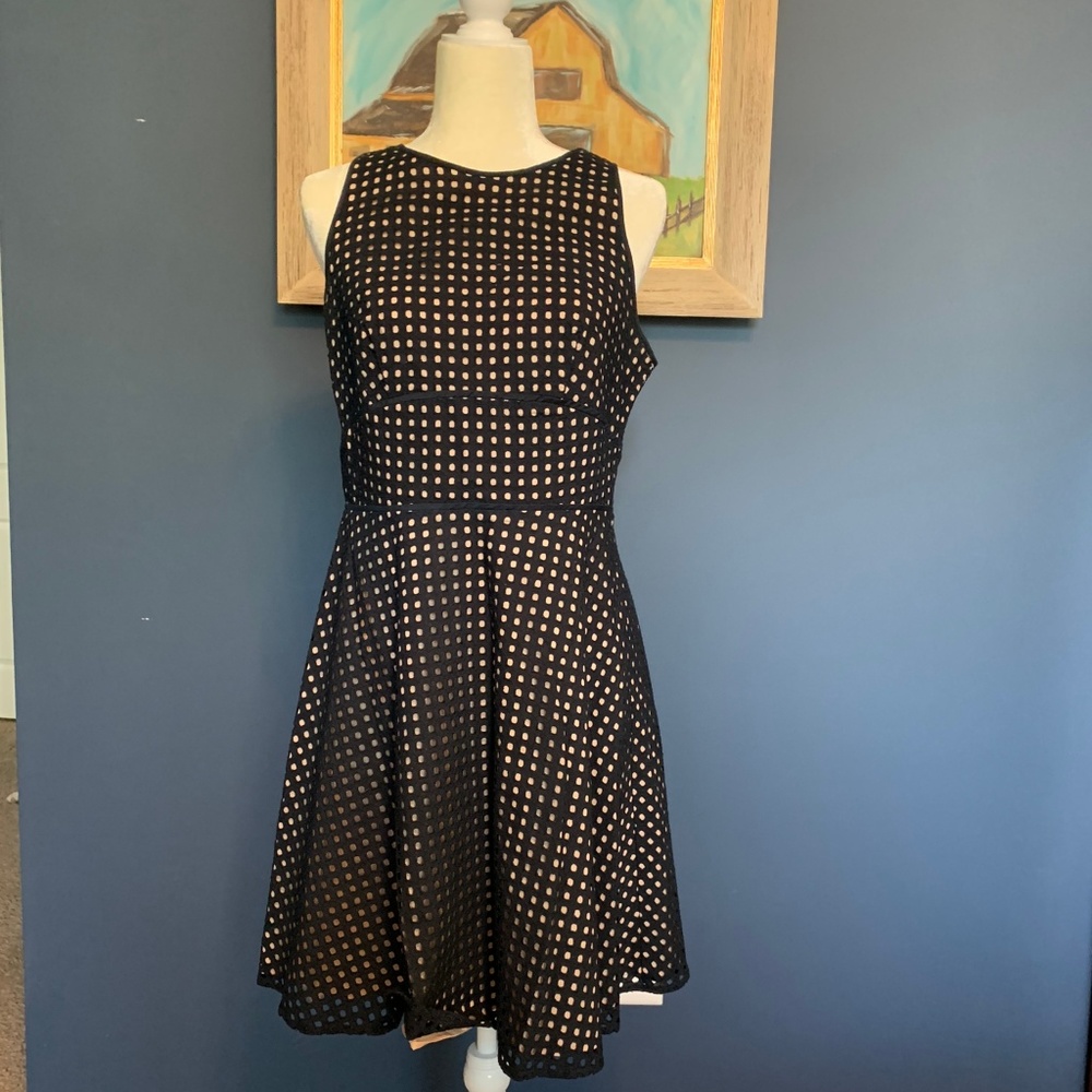 Loft sz 8 navy and cream dress